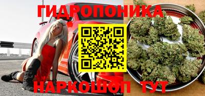 PSILOCYBIN Конаково