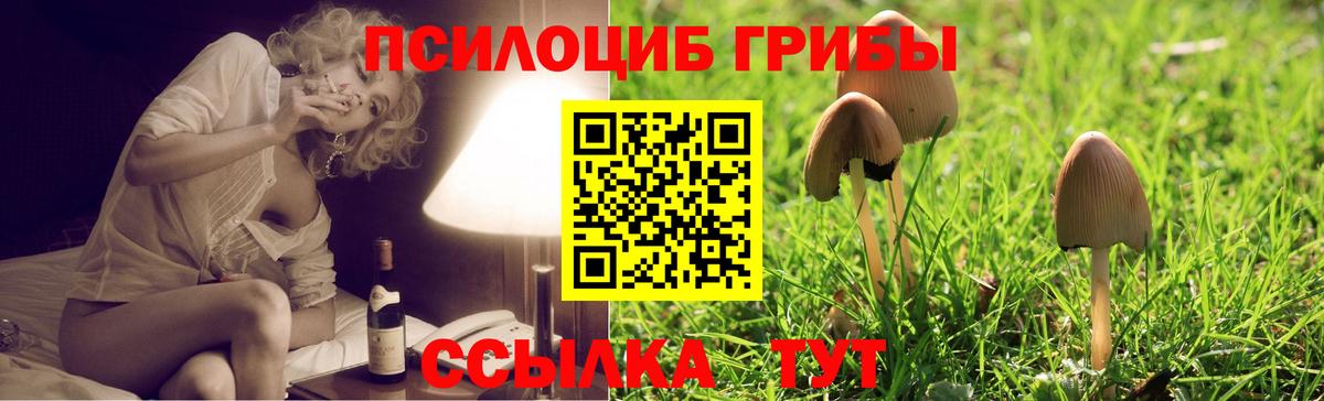 Галлюциногенные грибы Magic Shrooms Ессентуки